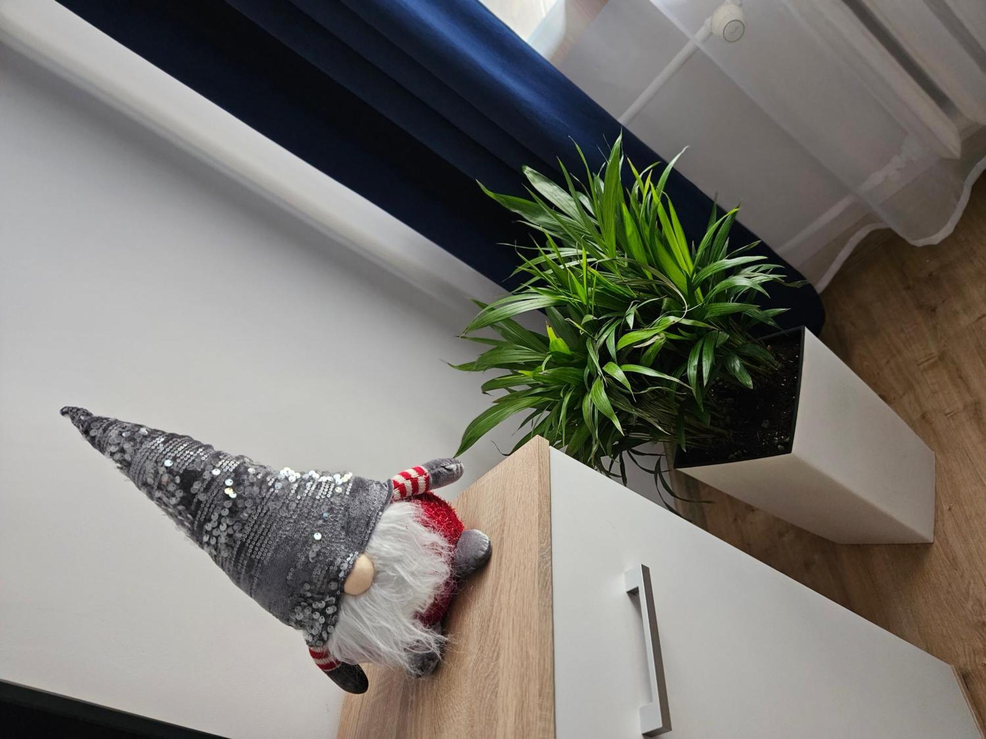 Apartamenty Koktajlove Kielce Cameră foto